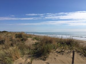 dune agli Alberoni